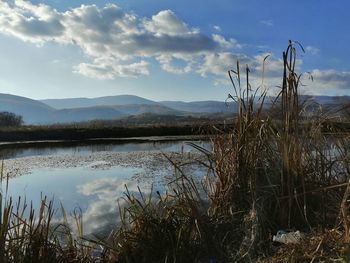 Scenic view of lake against sky