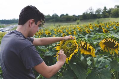 Side view of teenage boy examining sunflower against sky