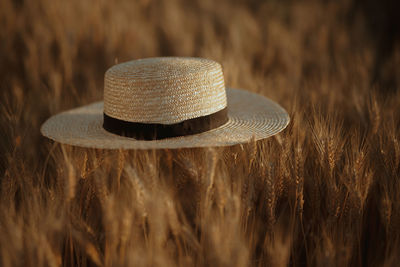 Close-up of hat on field