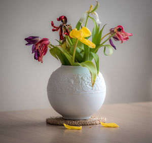 Close-up of yellow flowers in vase