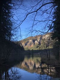 Reflection of bare trees in lake against clear sky