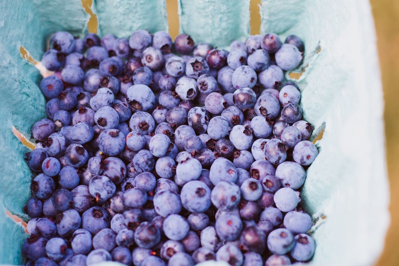 food and drink, healthy eating, fruit, food, wellbeing, freshness, berry fruit, blueberry, close-up, selective focus, abundance, no people, large group of objects, grape, high angle view, day, container, purple, red grape, still life, ripe