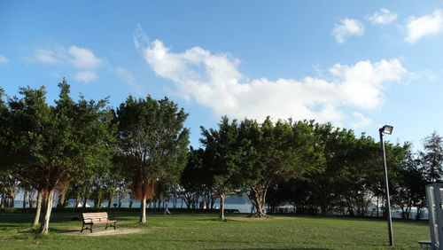 Trees on field against sky