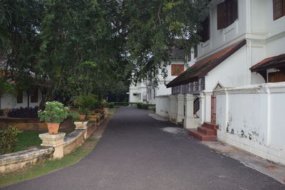 Street amidst trees and buildings in city