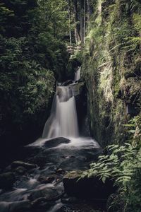 Waterfall in forest