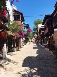 Road leading towards town