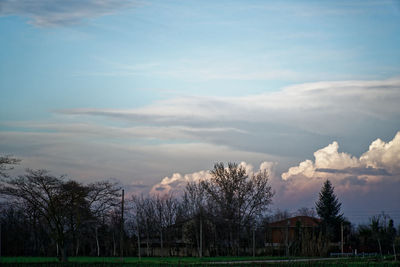 Bare trees on field against sky