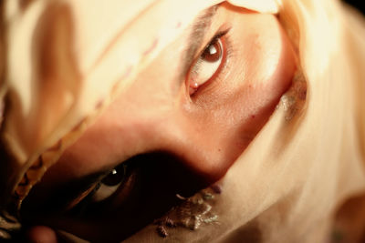 Close-up of woman in hijab