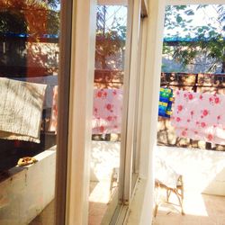 window