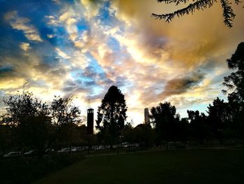 Trees against sky during sunset