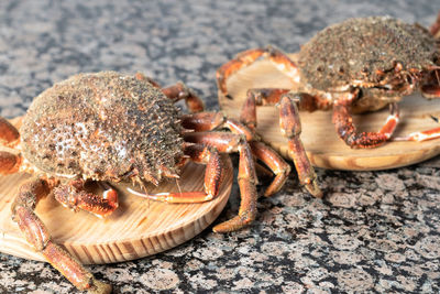 Close-up of crab on rock