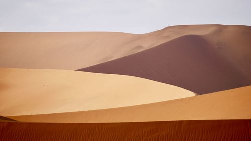 Low angle view of a desert