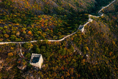 High angle view of road amidst trees in forest