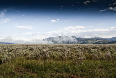 Scenic view of field against sky