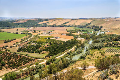 High angle view of trees on field against sky