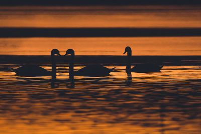 Silhouette people in sea during sunset