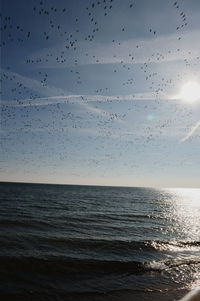 Flock of birds flying over sea