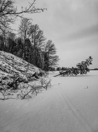 Bare trees on snow covered landscape against sky