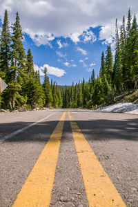 Road by trees against sky