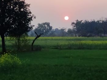Scenic view of field against sky during sunset