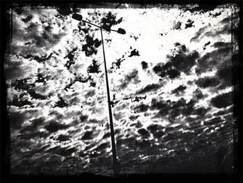 Low angle view of tree against sky