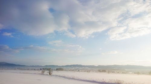 Scenic view of field against sky during winter