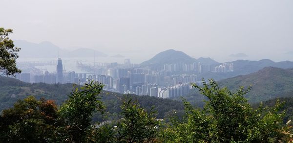 Trees and cityscape against sky