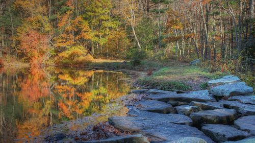Stream flowing through rocks in forest during autumn