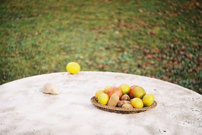 Close-up of fruits in container on field