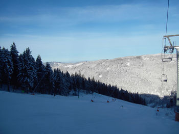 Trees on snow covered land against sky