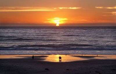 Scenic view of beach during sunset