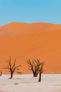Scenic view of desert against clear sky. sesriem, namibia
