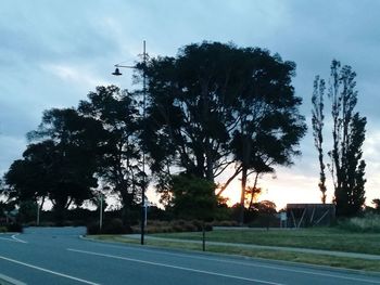 Trees against sky