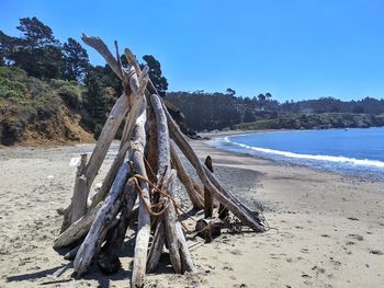 Panoramic view of driftwood on beach against clear sky