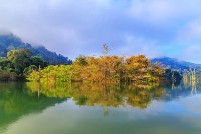 Scenic view of lake by trees against sky