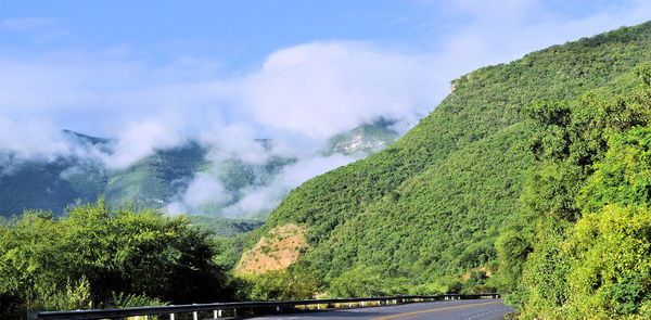 Scenic view of tree mountains against sky