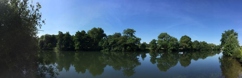 Reflection of trees in calm lake