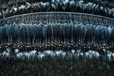 View of birds in lake