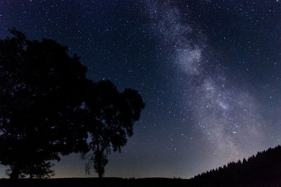 Low angle view of trees against star field