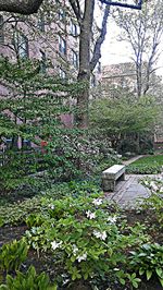 Scenic view of flowering plants and trees in sunlight