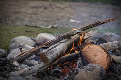 Close-up of firewood on wood