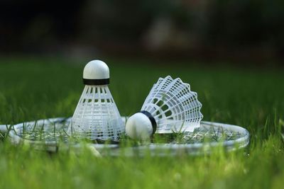 Badminton racket and shuttlecocks on grassy field