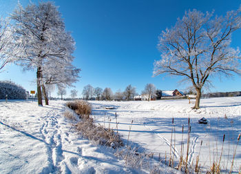 View of snow covered field against sky