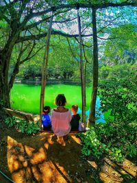 Rear view of people sitting in the forest