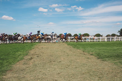 Horses running on field against sky