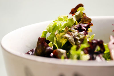 Close-up of meal served in bowl