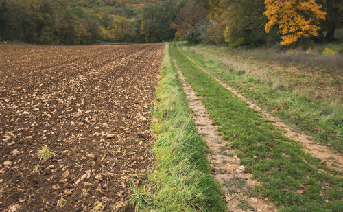 Scenic view of agricultural field during autumn