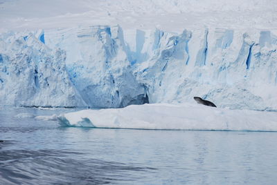 Scenic view of frozen sea