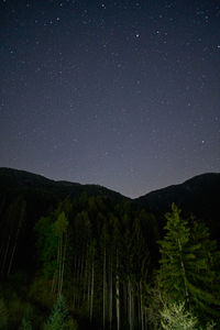 Scenic view of tree against sky at night