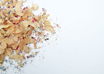 Close-up of multi colored white background